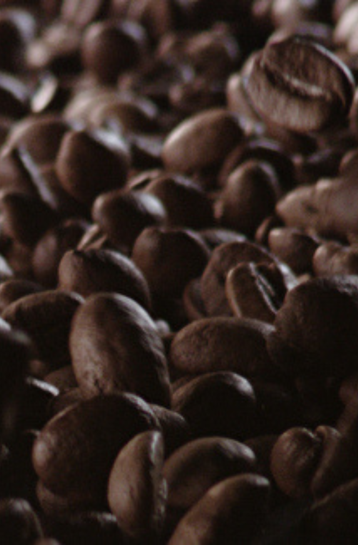 BE-coffeebeansourcing