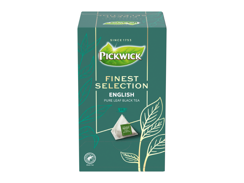 FINSEL ENGLISH - front