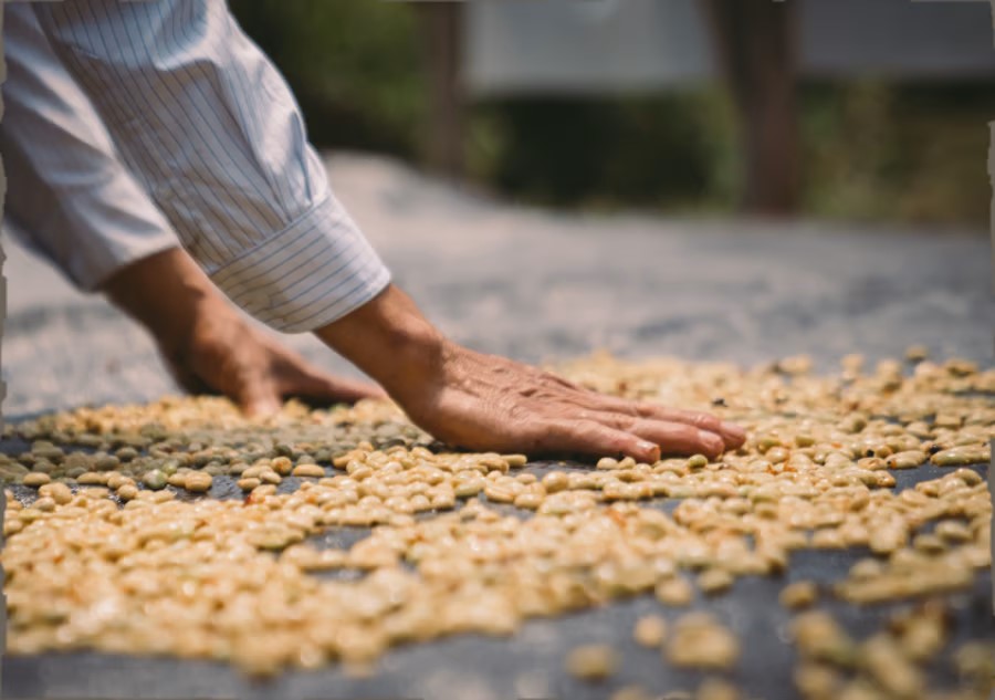 BE-striving-towards-netzero